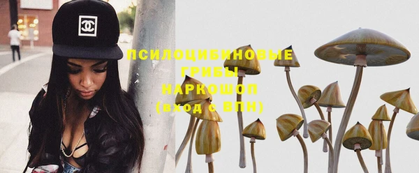 PSILOCYBIN Нижний Тагил