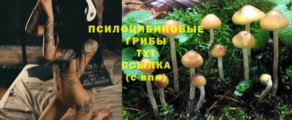 героин Касимов