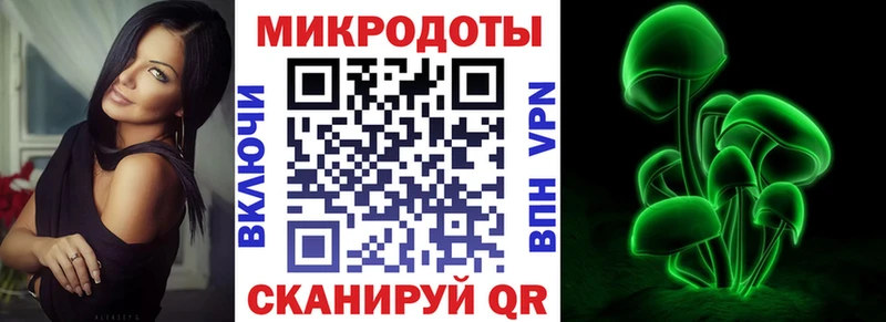 Галлюциногенные грибы Psilocybine cubensis  Навашино 